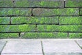Old brick wall with green moss and floor background Royalty Free Stock Photo