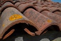 Close up of an old canal tile roof