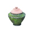 Old closed pottery pot for drinking water with natural green moss  isolated on white background , clipping path Royalty Free Stock Photo