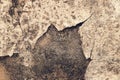 Close up Old cracked Concrete texture  for background Royalty Free Stock Photo