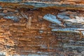 Close up of old cracked timber wood texture on green field Royalty Free Stock Photo