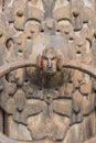 Close-up of an old decorated, corroded, rusty door knocker in the shape of a human head Royalty Free Stock Photo