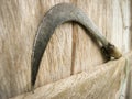Close up of old dusty sickle on a wooden plank.