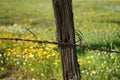 Old fence post with barbed wire Royalty Free Stock Photo