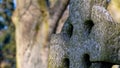 Close Up Of Old Gravestone Cross