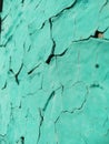 Close-up old green cracked paint. The texture of the old emerald paint with cracks. Dried in the sun and cracked color on the wall