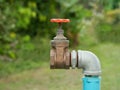 Close up old grunge brass faucet water in nature park background