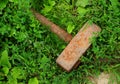 Rusty hammer in green grass