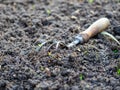 Close-up of an old hoe for loosening the earth with a wooden handle. Old tools for cultivating the land