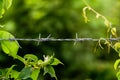 Close-up of an old iron barbed fence and a soft focus green bokeh background Royalty Free Stock Photo