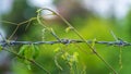 Close-up of an old iron barbed fence and a soft focus green bokeh background Royalty Free Stock Photo