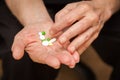 Close-up old man's hands with pills Royalty Free Stock Photo