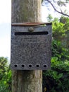 Close up of old metal letter box on tropical tree trunk. Post office and postal delivery of the French Antilles. FWI Royalty Free Stock Photo