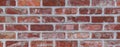 Wide image with red brick wall pattern backdrop. Royalty Free Stock Photo