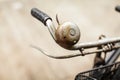 Close up Old rusly metal bell on the handlebar of an old Bicycle outside on the street background. Royalty Free Stock Photo