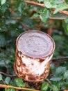 Close up of old rusted metal pole end post garden Royalty Free Stock Photo