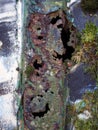 Close up of an old rusted steel panel with holes with patches of moss and white paint