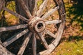 Close-up of an old rustic wooden wagon wheel leaning to tree trunk in summer Royalty Free Stock Photo