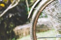 Close up of old rusty chain from the bicycle on background nature Royalty Free Stock Photo