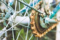 Close up of old rusty chain from the bicycle on background nature Royalty Free Stock Photo