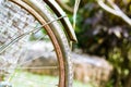 Close up of old rusty chain from the bicycle on background nature ,Bicycle`s detail view of wheel with old chain, sprocket,dirty Royalty Free Stock Photo