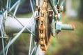 Close up of old rusty chain from the bicycle on background nature ,Bicycle`s detail view of wheel with old chain, sprocket,dirty Royalty Free Stock Photo