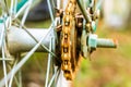 Close up of old rusty chain from the bicycle on background nature Royalty Free Stock Photo