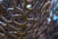 Close up old rusty iron net with blur background Royalty Free Stock Photo