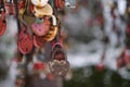 close up old rusty locks heart shaped on wire rope. Love lock on the bridge. tradition of hanging a barn lock on the Royalty Free Stock Photo