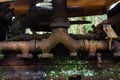 Close-up of an old rusty and mossy car engine Royalty Free Stock Photo