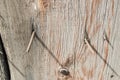 Close-up of old rusty nails sticking out of dark old boards, wood texture, vintage tone surface Royalty Free Stock Photo