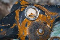 Close-up of an old rusty steering wheel of a two-wheeled motorcycle with a broken speedometer. Royalty Free Stock Photo