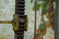 Close up of a old and rusty straight tooth rack covered with grease