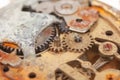 Close up of old rusty watch Royalty Free Stock Photo