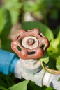 Old rusty water valve in garden Royalty Free Stock Photo