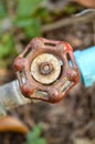 Old rusty water valve in garden Royalty Free Stock Photo
