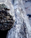 Close Up of Old Stack of Timbers