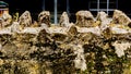 Close up of an old stone wall from a church Royalty Free Stock Photo
