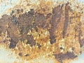 Old surface of rust corroded steel. Royalty Free Stock Photo