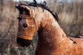 Close-up of the old thrown away rocking horse