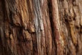 Close-up of old tree trunk wood grain texture Ai photo Royalty Free Stock Photo
