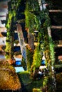 Old turbine baler with moss at Oshino Hakkai village near Fuji moutain. Royalty Free Stock Photo