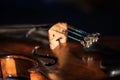 Old violin close up Royalty Free Stock Photo