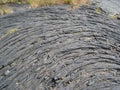 Close-up of old volcanic lava field with growing Royalty Free Stock Photo