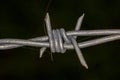 Close up old wire barbed node on black background Royalty Free Stock Photo