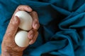 Close-up of the old woman's hand Poor Thai grandmother holds a large white duck egg for dinner. Pure egg whites Royalty Free Stock Photo