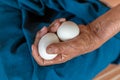 Close-up of the old woman's hand Poor Thai grandmother holds a large white duck egg for dinner. Pure egg whites Royalty Free Stock Photo