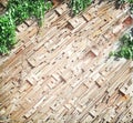 Old wood wall in diagonal patterns and green plants hanging on background Royalty Free Stock Photo