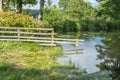 A close up of an old wooden fence half submerged into a pretty rural lake with reflections of the fence and surrounding trees