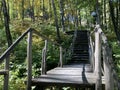 Close up of old wooden staircase in woodland. Stairs of wood on sunny day in park Royalty Free Stock Photo